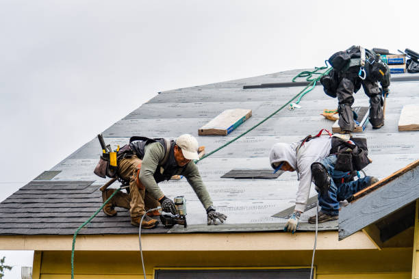 Professional Gutter Installation technician working in Dillwyn, VA